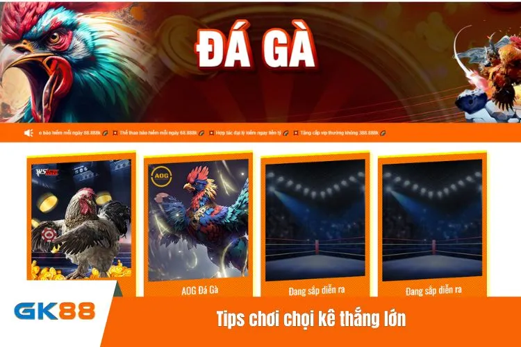 Tips chơi chọi kê thắng lớn