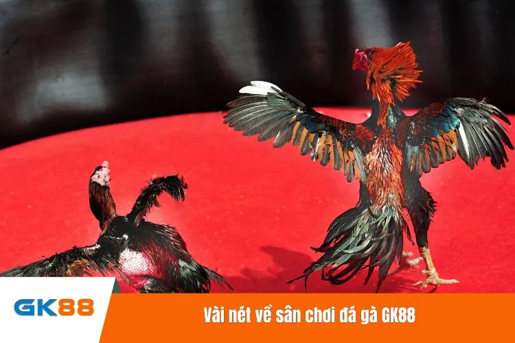 Vài nét về sân chơi đá gà GK88