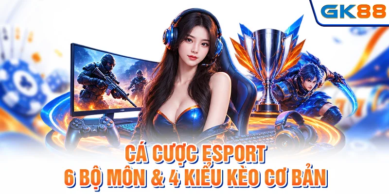 Cá Cược Esport - Top 6 Bộ Môn & 4 Kiểu Kèo Cơ Bản