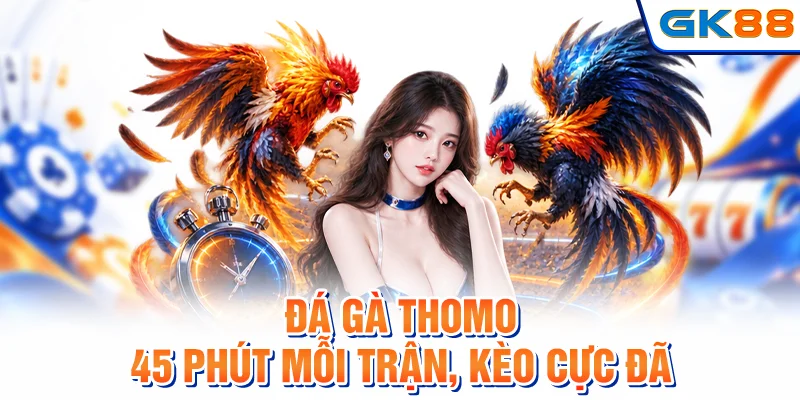 Đá Gà Thomo - 45 Phút Mỗi Trận, Kèo Cực Đã
