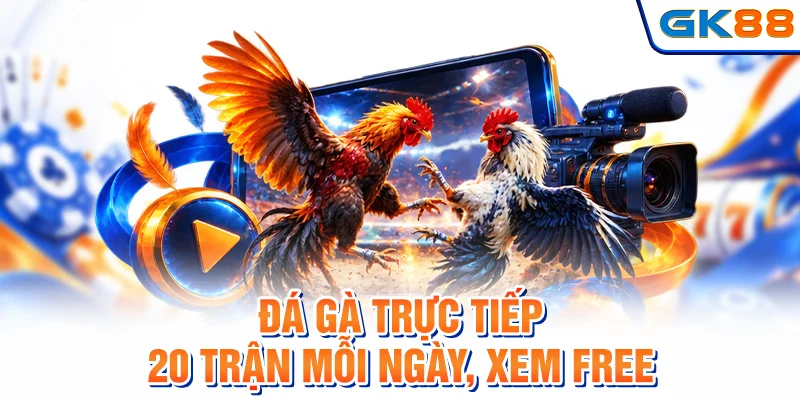 Đá Gà Trực Tiếp - 20 Trận Mỗi Ngày, Xem Free