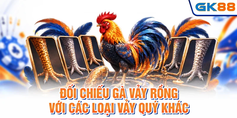 Đối chiếu gà vảy rồng với các loại vảy quý khác