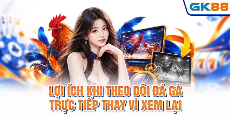 Lợi ích khi theo dõi đá gà trực tiếp thay vì xem lại